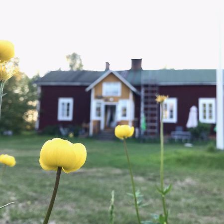 Paeivin Pirtti - Pirttikahvila Ja B&B ลูออสโต ภายนอก รูปภาพ