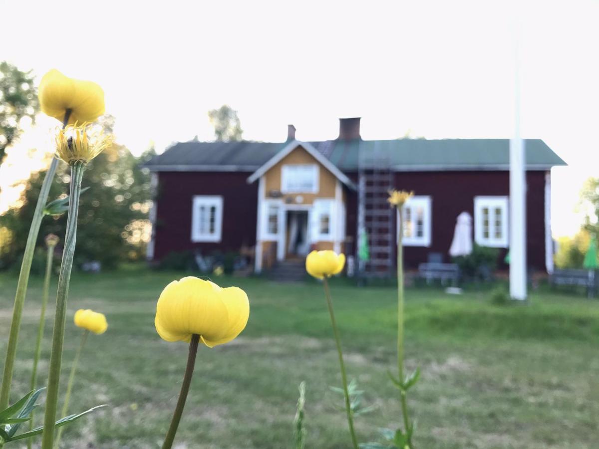 Paeivin Pirtti - Pirttikahvila Ja B&B ลูออสโต ภายนอก รูปภาพ